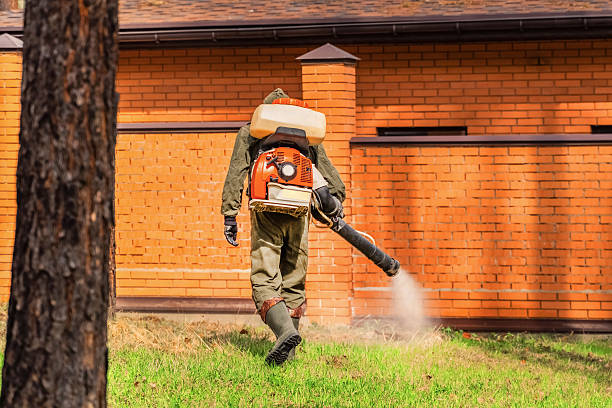 Trusted Termite Control service in Turtle Creek, PA - Nex Pest Control